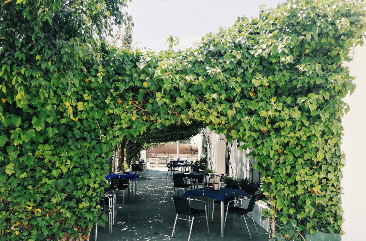 Hospederia Restaurante Tarin Hotel ลอสกาญอสเดเมกา ภายนอก รูปภาพ